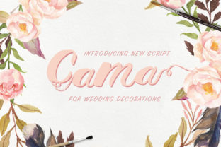 Cama: The Perfect Script Amp Font for Polished Branding