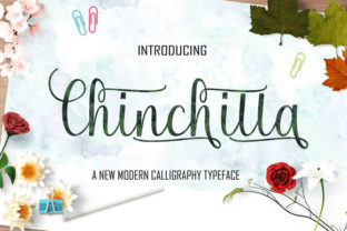 Chinchilla Font Review: A Luxury Handmade Typeface for Brand Identity