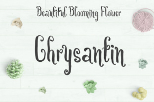 Chrysantin: The Handwritten Brush Font That Elevates Editorial Design