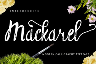 Design Review: Why Mackarel Fits Real-World Branding