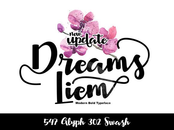 Dreams Liem: The High-Impact Script Typeface for Campaign Design
