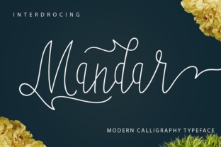 Mandar Handwritten Script: Elevate Your Shop's Brand Identity