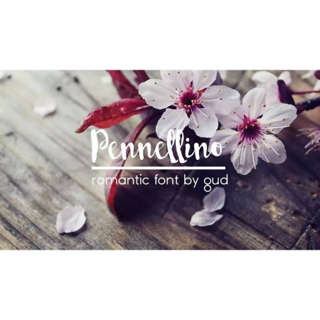 Pennellino: The Brush Typeface for Scroll-Stopping Marketing