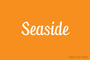 Seaside: The Elegant Script Typeface for Modern Editorial Design
