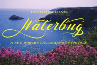 Waterbug: The Handwritten Font That Elevates Your Digital Brand